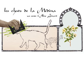 Le Chat de la Médina raconté par Aline Liénard Conteuse